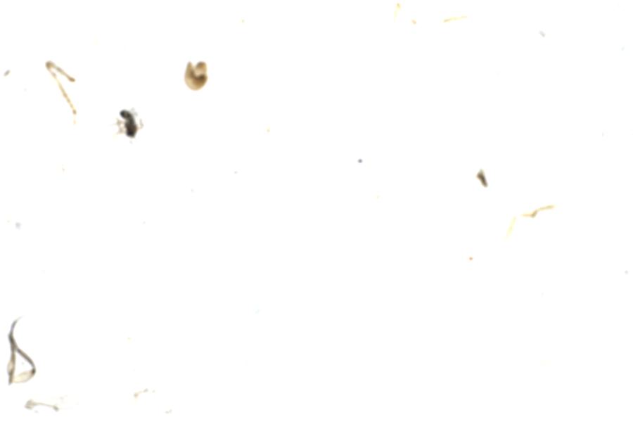 Image 58